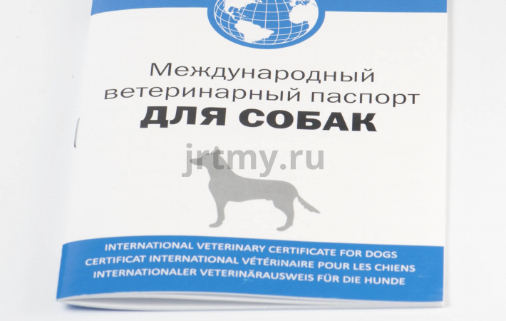 Международный ветеринарный паспорт. Для чего он нужен? Международный ветеринарный паспорт. Для чего он нужен?